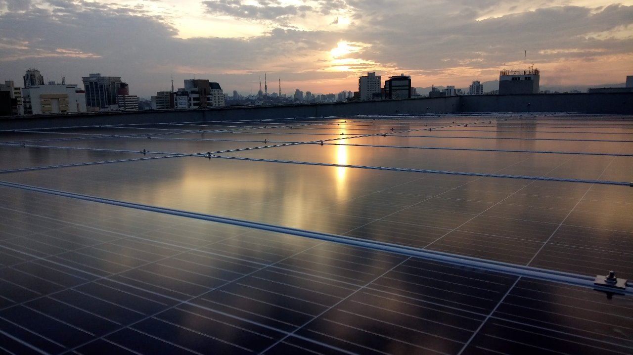 Bela Cintra  2020-07-08 at 21.25.20.jpeg